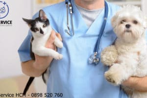bệnh viện thú y Thảo Điền