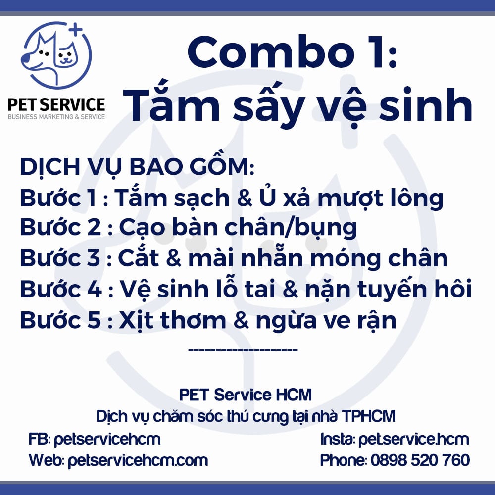 dịch vụ tắm poodle tại nhà TPHCM