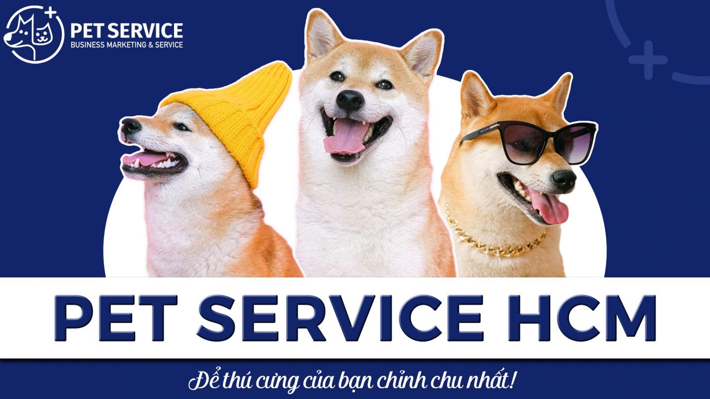 Bác sĩ thú y tại nhà khu vực TPHCM