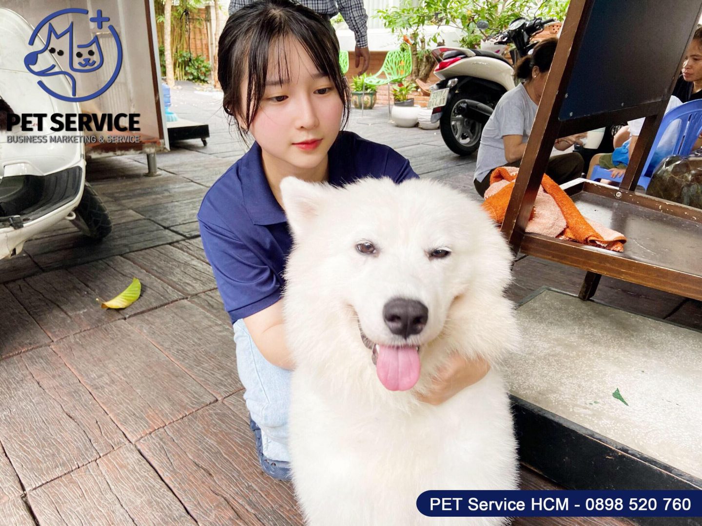 giới thiệu về pet service