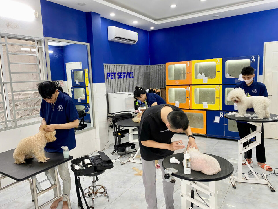 spa thú cưng