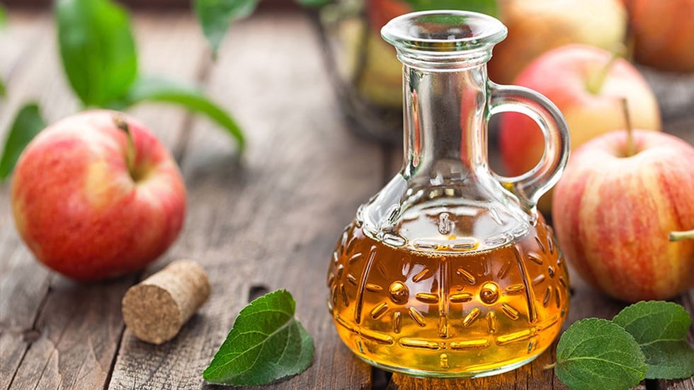 cách trị ve chó hiệu quả tại nhà