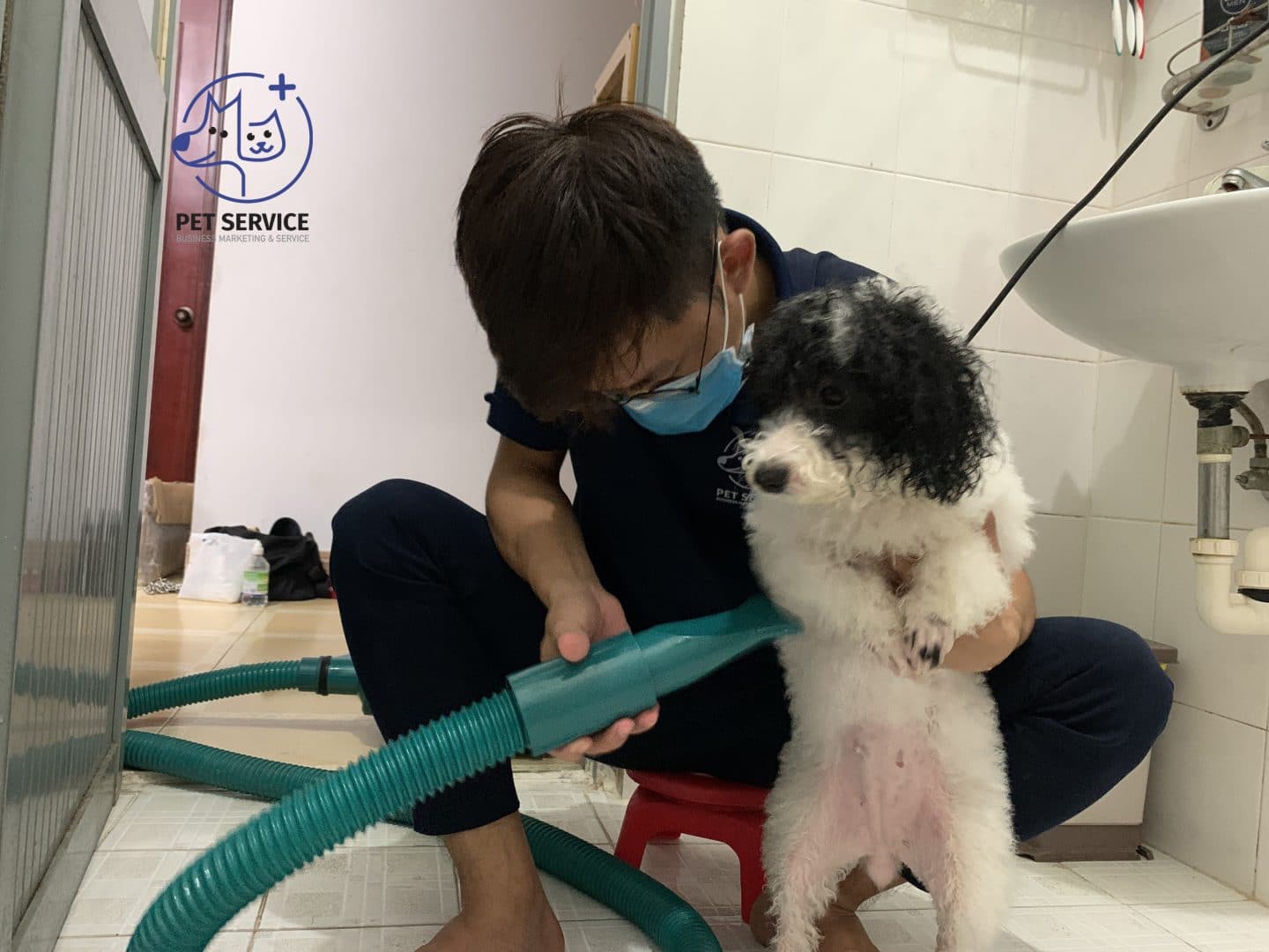 Tắm sấy chuẩn xịn xò của Pet Service