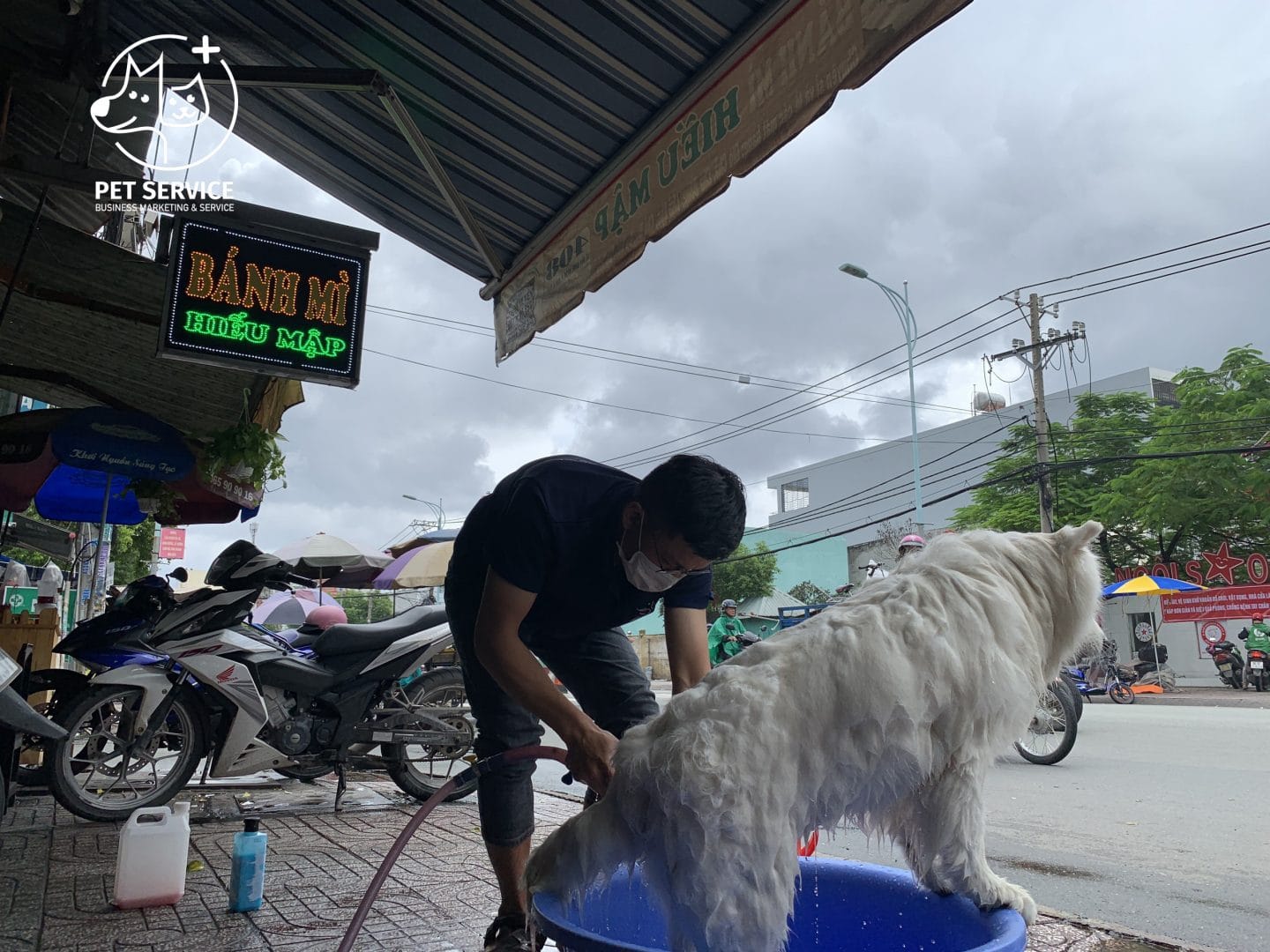 Pet Service hỗ trợ dịch vụ tắm thú cưng tại nhà