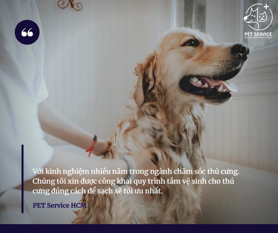 Tắm chó như thế nào mới là đúng cách?