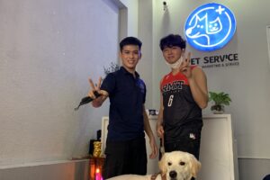 Cắt tỉa lông cho mèo tại nhà quận 7