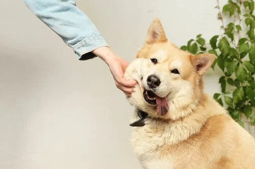 800