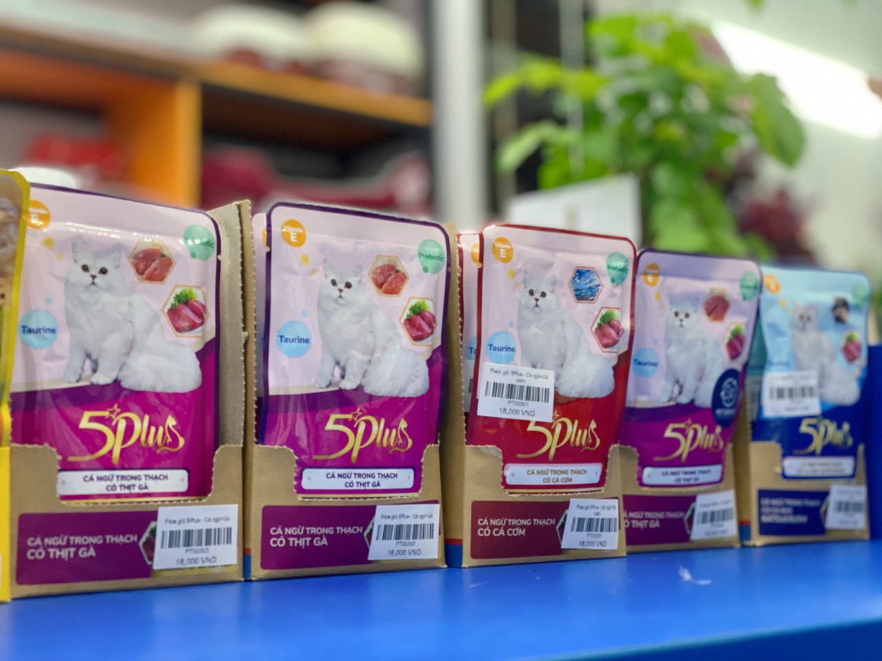 Pet Shop Quận 7