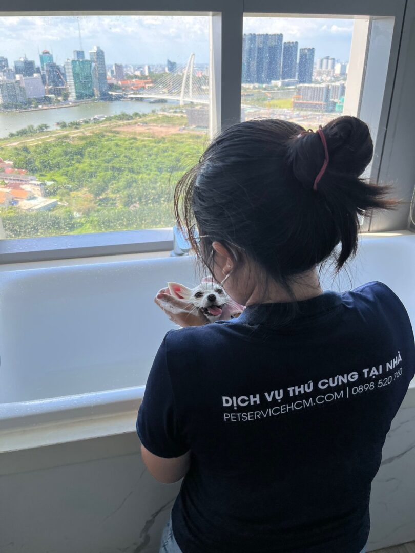 Dịch vụ tắm chó mèo tại Bình Thạnh