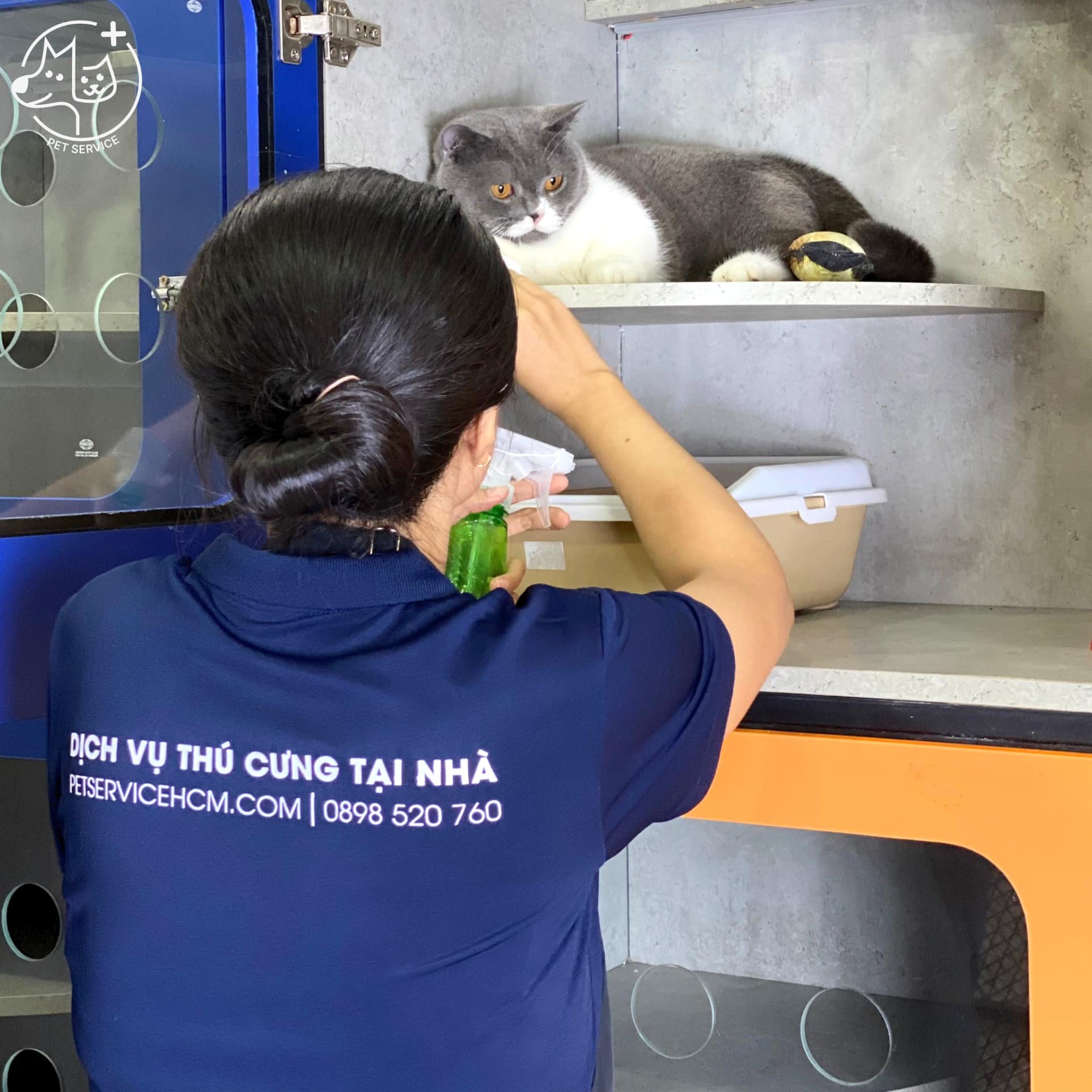 Pet hotel Quận 7 – Phòng nghỉ sạch sẽ tại Pet Service