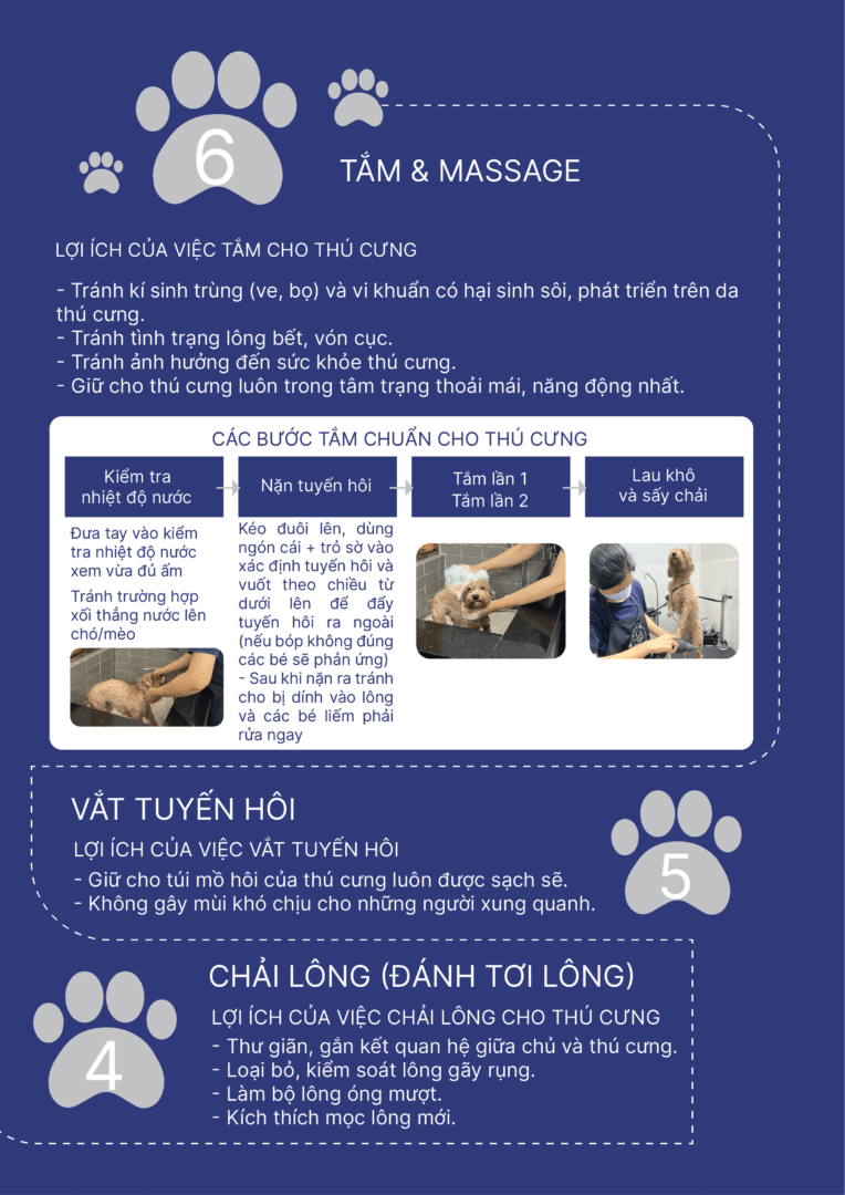 Spa thú cưng