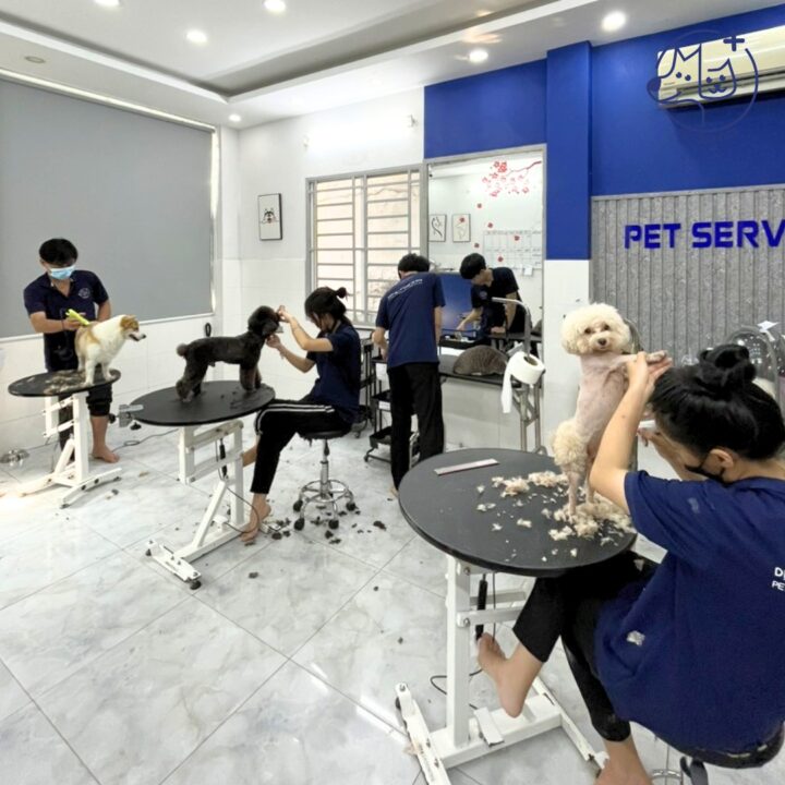 Top 5 spa thú cưng quận 2 uy tín nhất