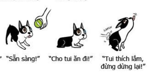 ngôn ngữ cơ thể chó khi chơi