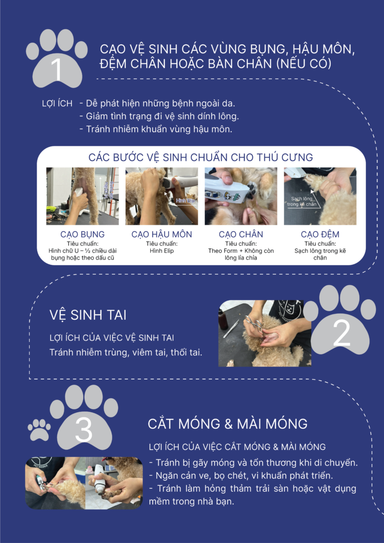dich-vu-cat-tia-long-cho-meo-tai-nha-quan-9