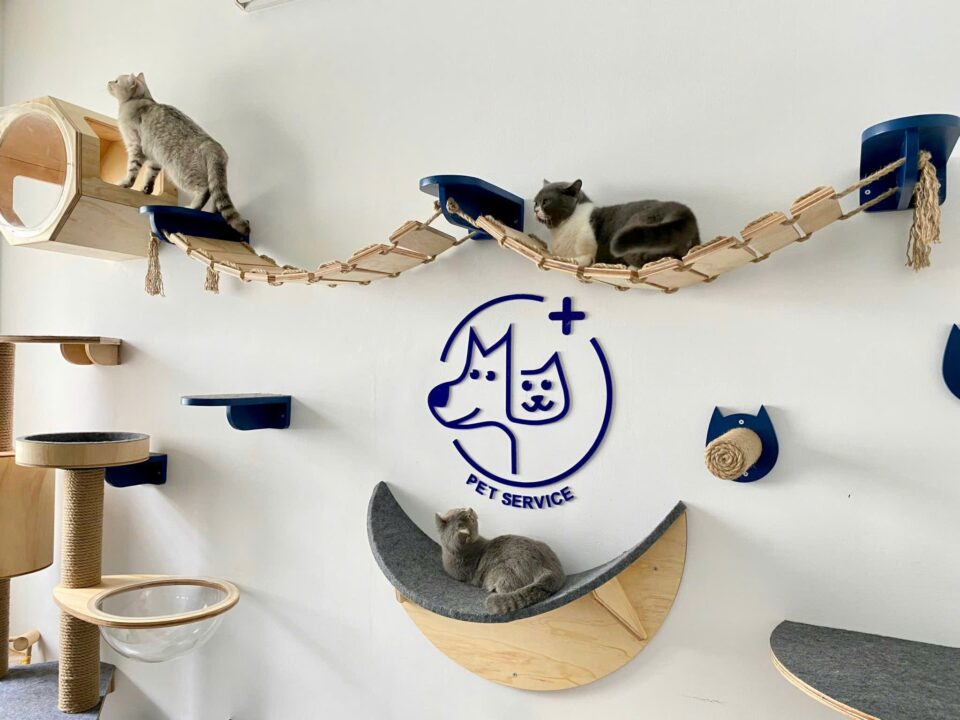 Khu catzone riêng biệt