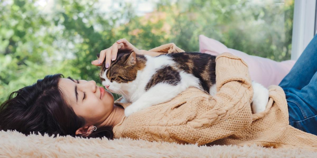 Mèo theo chủ để thể hiện tình cảm của chúng
