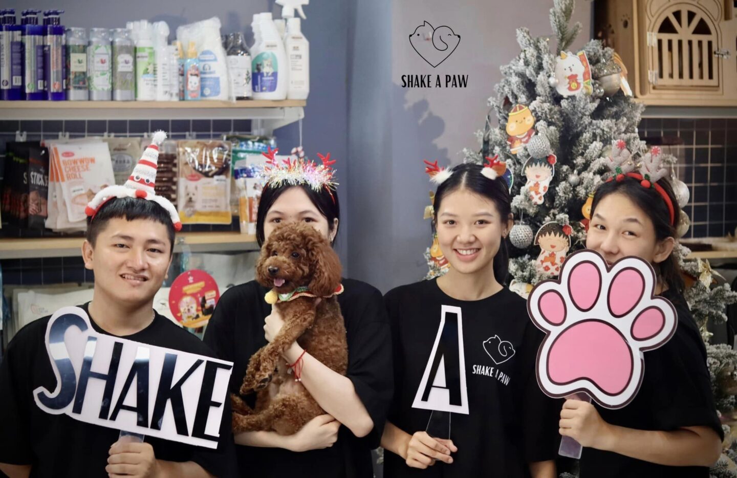 Top 5 khách sạn thú cưng quận 7 – Chăm sóc chu đáo tại Shake A Paw