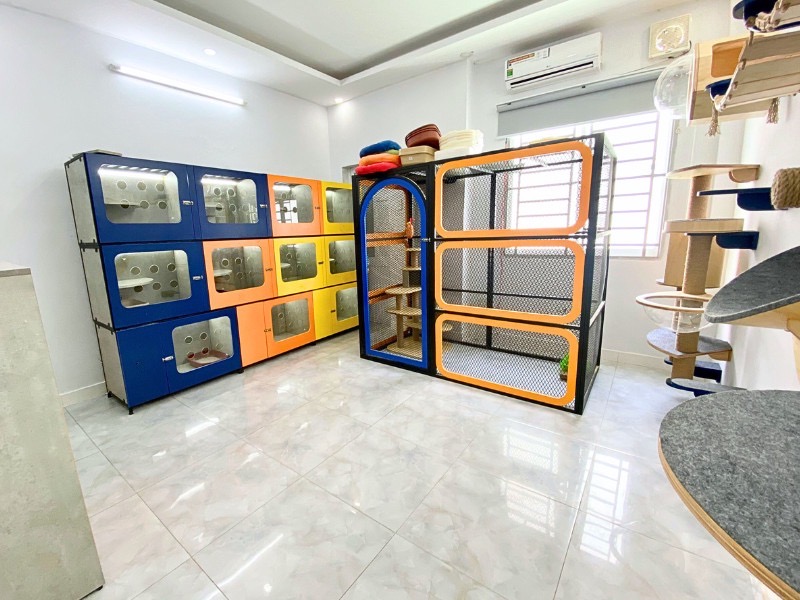 khách sạn mèo riêng biệt