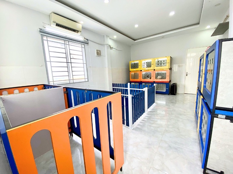 khách sạn chó riêng biệt
