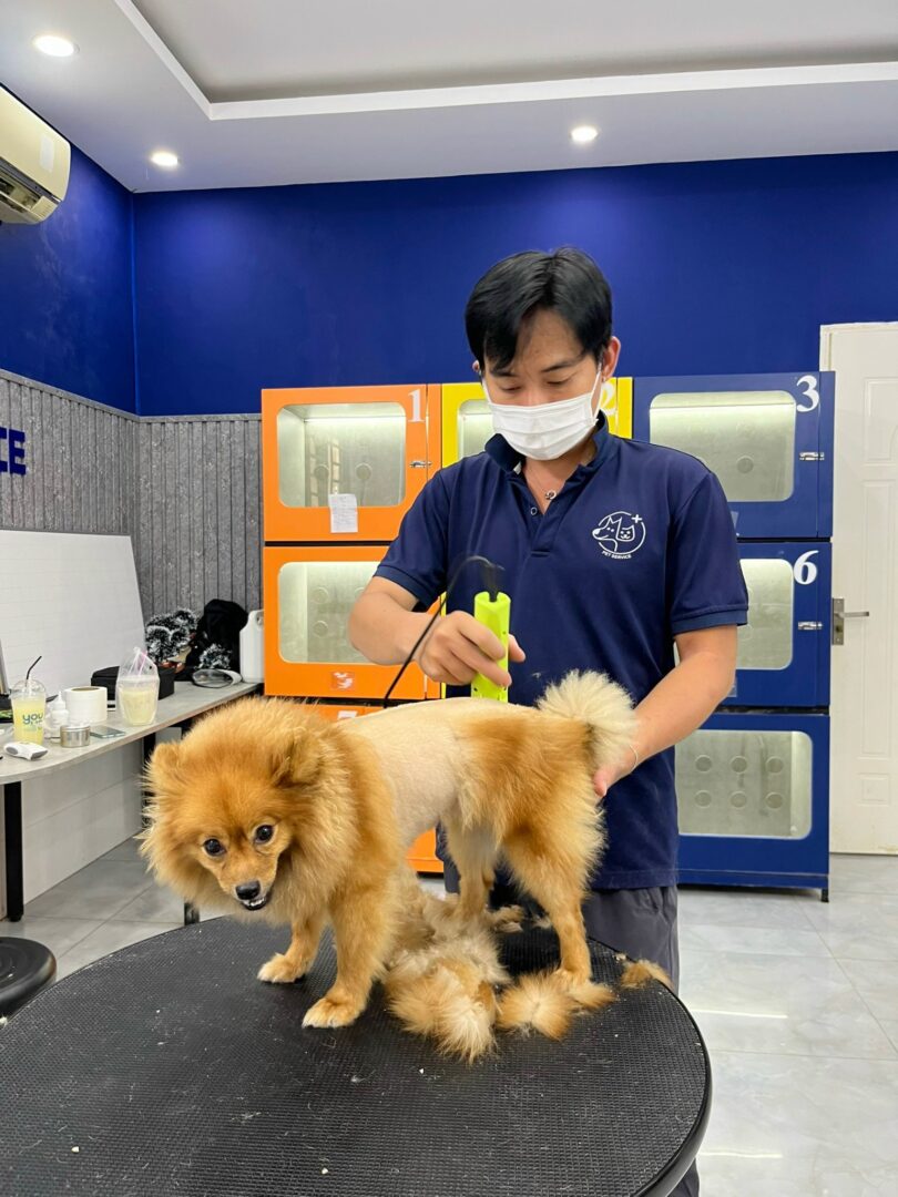 combo 4 cạo tắm vệ sinh