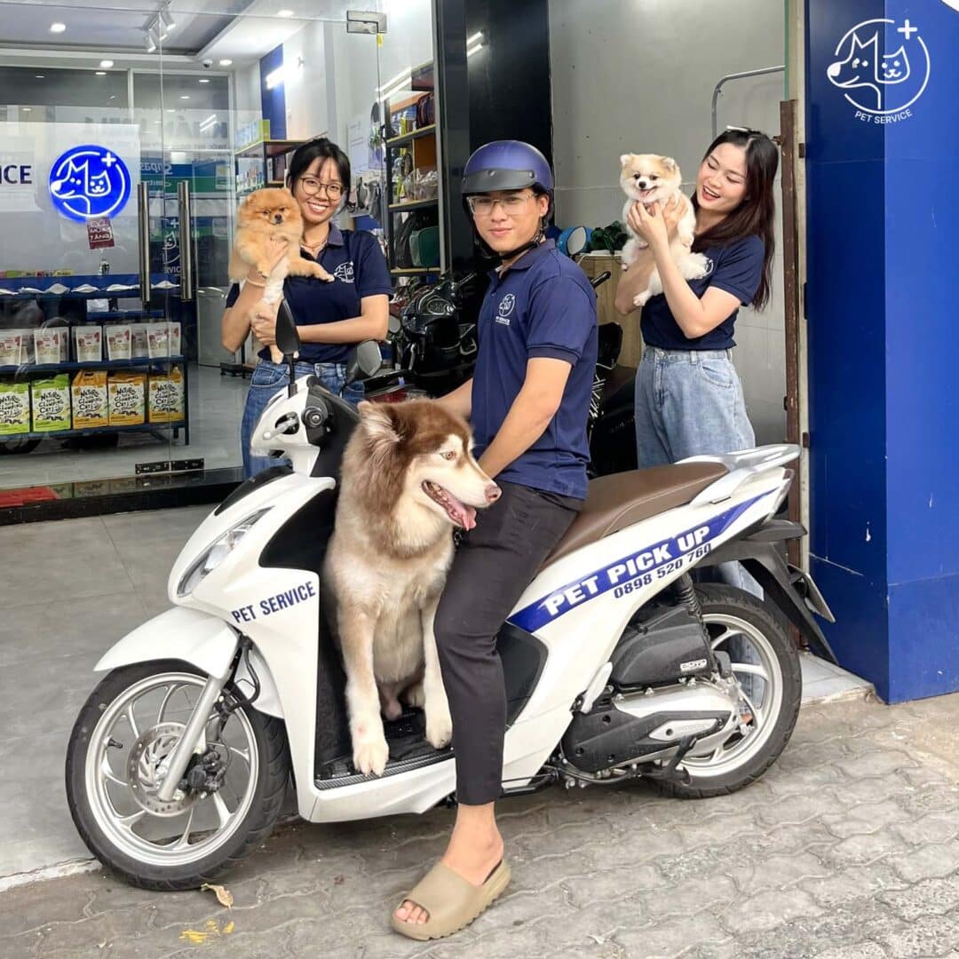 Pet Service