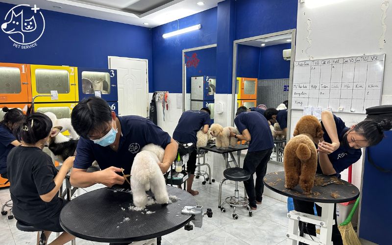 spa thú cưng pet service