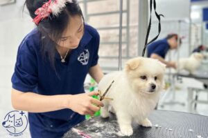 top spa thú cưng quận 8