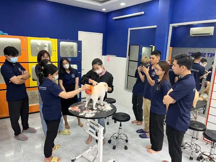Cắt tỉa lông tại spa thú cưng quận 7 – Đội ngũ Pet Service