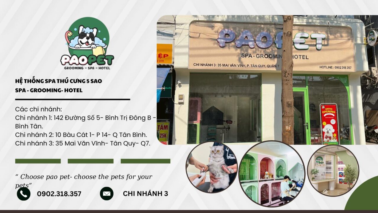 Pao Pet – Chăm sóc thú cưng chuyên sâu tại spa Quận 7