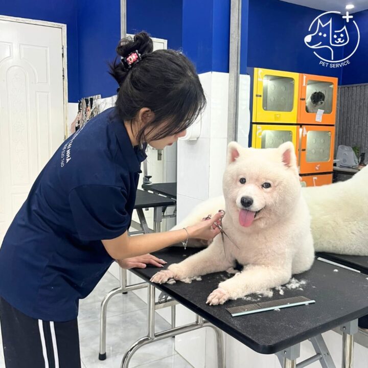 Spa thú cưng tại PET SERVICE TP. Hồ Chí Minh